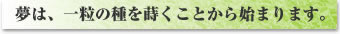 夢は、一粒の種を蒔くことから始まります。